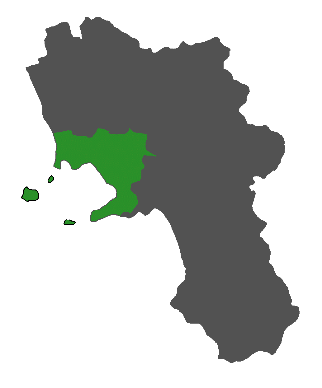 Cartina di Napoli