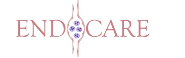 https://www.endocareproject.eu/